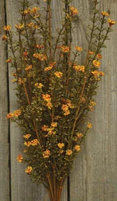 Bed skirts with a eco - friendly materialRust Astilbe Bush - 21"