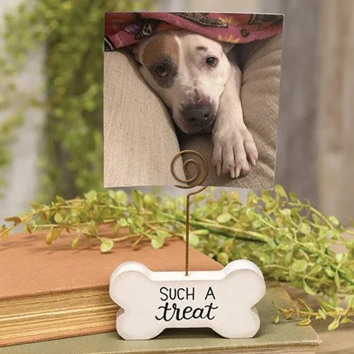 Bed skirts in neutral colors for easy pairingSuch A Treat Wooden Bone Photo Holder