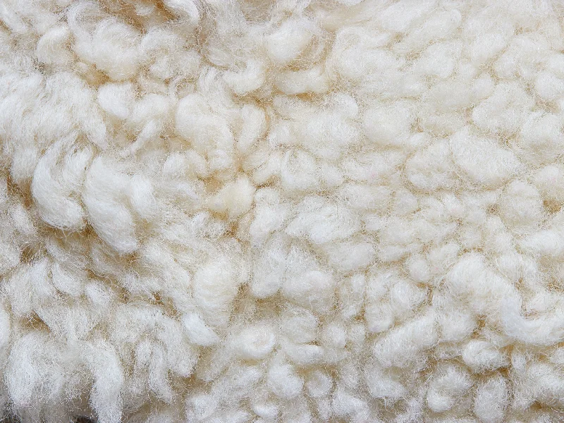 Velvet Pillows for a Touch of EleganceWool Pillow Stuffing - 1lb bag