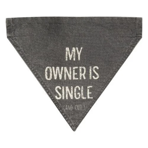 Bed skirts with a high - quality elastic waistbandMy Owner Is Single (And Cute) Dog Bandana