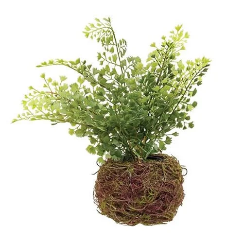 Bed skirts with a shabby - chic styleNested Maiden Hair Fern